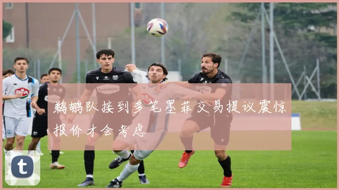 鹈鹕队接到多笔墨菲交易提议震惊报价才会考虑
