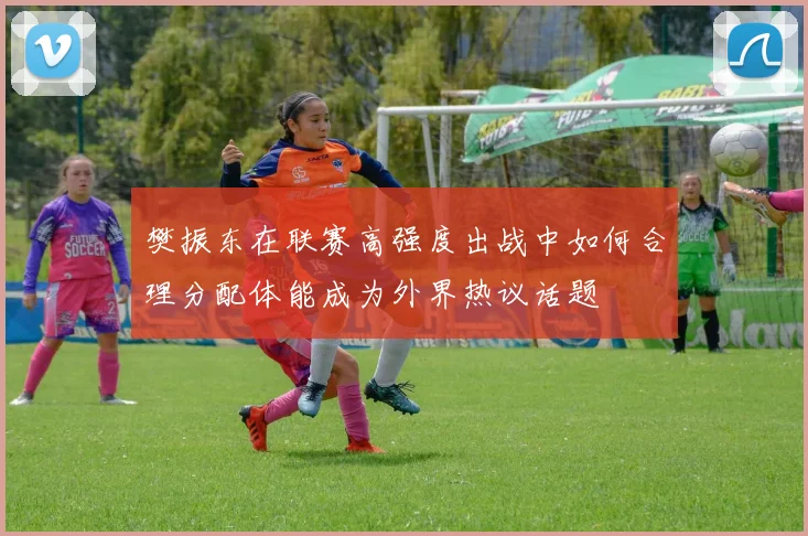 樊振东在联赛高强度出战中如何合理分配体能成为外界热议话题